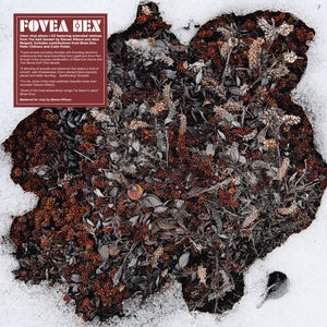 FOVEA HEX | SALT GARDEN - CLEAR