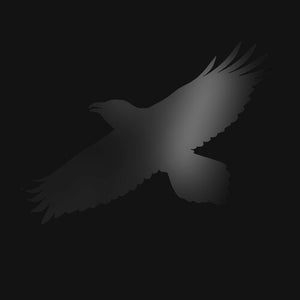 SIGUR ROS | ODIN'S RAVEN MAGIC