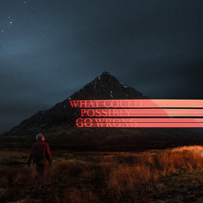 DOMINIC FIKE | WHAT COULD POSSIBLY GO WRONG (INCLUDES POSTER) (VINYL)