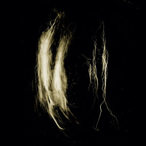 MY HEART AN INVERTED FLAME | PLAGUE NOTES