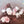 NEW ORDER | POWER CORRUPTION AND LIES - NZ