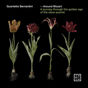 VARIOUS ARTISTS | AROUND MOZART / VARIOUS