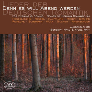 VARIOUS ARTISTS | DENN ES WILL ABEND WERDEN / VARIOUS