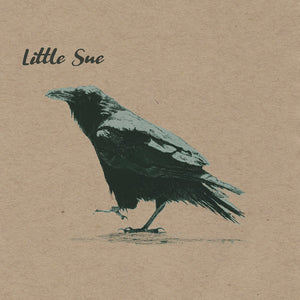 LITTLE SUE | CROW (20TH ANNIVERSARY EDITION) (VINYL)