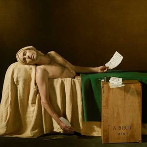 ANDREW BIRD | MY FINEST WORK YET