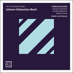 | TRIO SONATA PROJECT