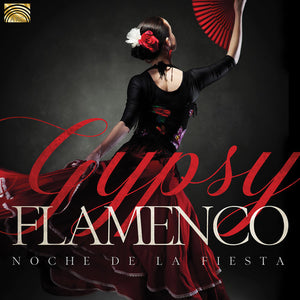 VARIOUS ARTISTS | NOCHE DE LA FIESTA / VARIOUS