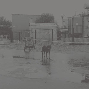 NIVHEK | AFTER ITS OWN DEATH / WALKING IN A SPIRAL TOWARDS