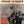 JIMMIE SKINNER | COLLECTION 1947-62