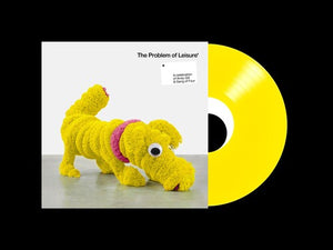 VARIOUS ARTISTS | PROBLEM OF LEISURE: CELEBRATION OF ANDY / VARIOUS