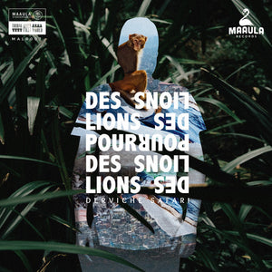 DES LIONS POUR DES LIONS | DERVICHE SAFARI