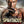 SPARTACUS VENGEANCE SEASON 2 (3DVD) (BOOK W/CLEAR SLIPCASE)