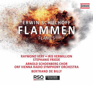 VARIOUS^SCHULHOFF | FLAMMEN