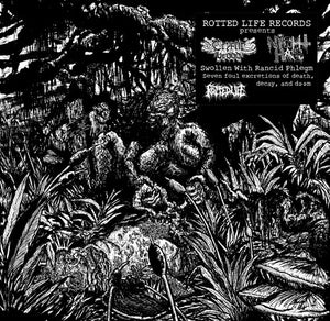 CRYPTIC BROOD & NIGHT HAG | SWOLLEN WITH RANCID PHLEGM