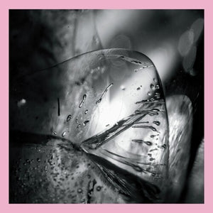 LOSCIL | CLARA