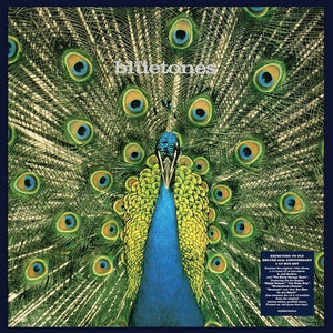 THE BLUETONES | EXPECTING TO FLY: 25TH ANNIVERSARY
