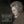 INDRE PETRAUSKAITE | SOLO PIANO WORKS