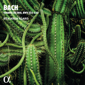 BENJAMIN ALARD | TRIO SONATAS FOR ORGAN