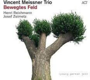 VINCENT TRIO MEISSNER | BEWEGTES FELD