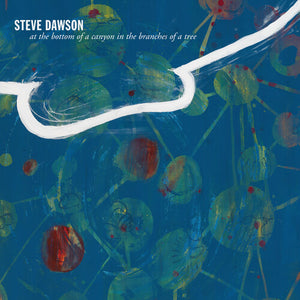 STEVE DAWSON | AT THE BOTTOM OF A CANYON IN THE BRANCHES OF TREE
