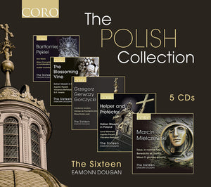 VARIOUS ARTISTS | POLISH COLLECTION / VARIOUS