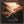 JACKSON BROWNE | RUNNING ON EMPTY - US