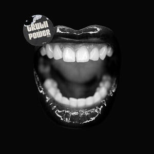 VARIOUS ARTISTS | TRUTH TO POWER PROJECT / VARIOUS