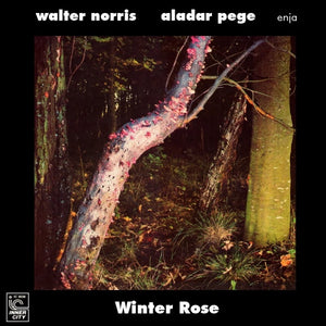 WALTER NORRIS / ALADAR PEGE | WINTER ROSE