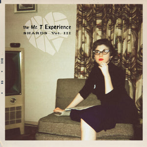 THE MR. T EXPERIENCE | SHARDS VOL. 3