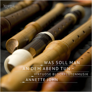 VARIOUS ARTISTS | WAS SOLL MAN AN DEM ABEND TUN / VARIOUS