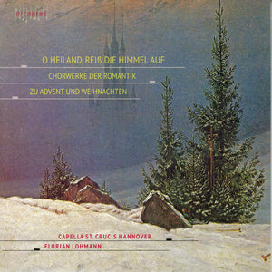 VARIOUS ARTISTS | O HEILAND REISS DIE HIMMEL AU / VARIOUS