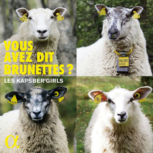 VARIOUS ARTISTS | VOUS AVEZ DIT BRUNETTES / VARIOUS