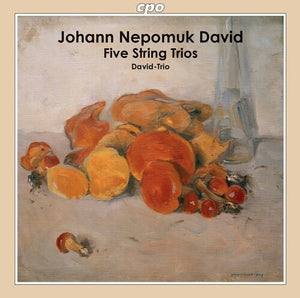 OBER-OSTERREICHISCHES DAVID TRIO | STRING TRIOS