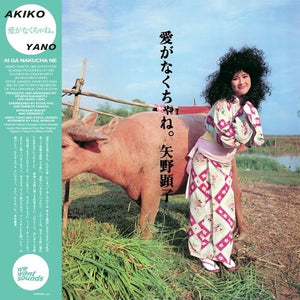 AKIKO YANO | AI GA NAKUCHA NE