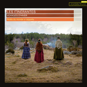 VARIOUS ARTISTS | VOYAGES D'HIVER / VARIOUS