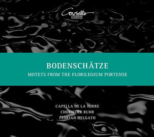 VARIOUS ARTISTS | BODENSCHATZE / VARIOUS