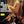 VARIOUS CLASSICAL ARTISTS | WORLDS MOST FAMOUS CONCERTOS - NZ