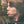 GEORGE THOROGOOD AND THE DESTROYERS | MOVE IT ON OVER - US
