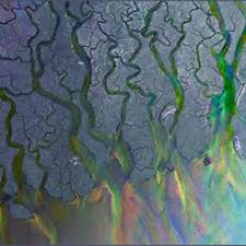 ALT J | AWESOME WAVE (TOUR EDITION) (2CD)