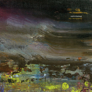 ROY MONTGOMERY | AUDIOTHERAPY