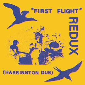 CHRIS FORSYTH | FIRST FLIGHT REDUX (HARRINGTON DUB)