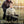MOVIE FOR | INTOUCHABLES