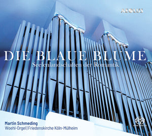MARTIN SCHMEDING | DIE BLAUE BLUME
