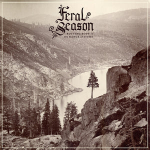 FERAL SEASON | ROTTING BODY IN THE RANGE OF LIGHT