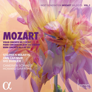 STEPHEN WAARTS | VIOLIN CONCERTO 1 207