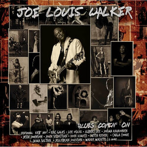 JOE LOUIS WALKER | BLUES COMIN' ON