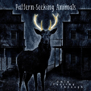 PATTERN-SEEKING ANIMALS | ONLY PASSING THROUGH