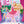 BARBIE IN THE PINK SHOES