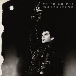 PETER MURPHY | WILD BIRDS LIVE TOUR