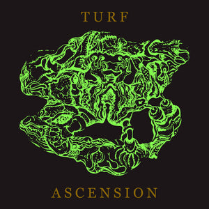 BUBBLEMATH | TURF ASCENSION